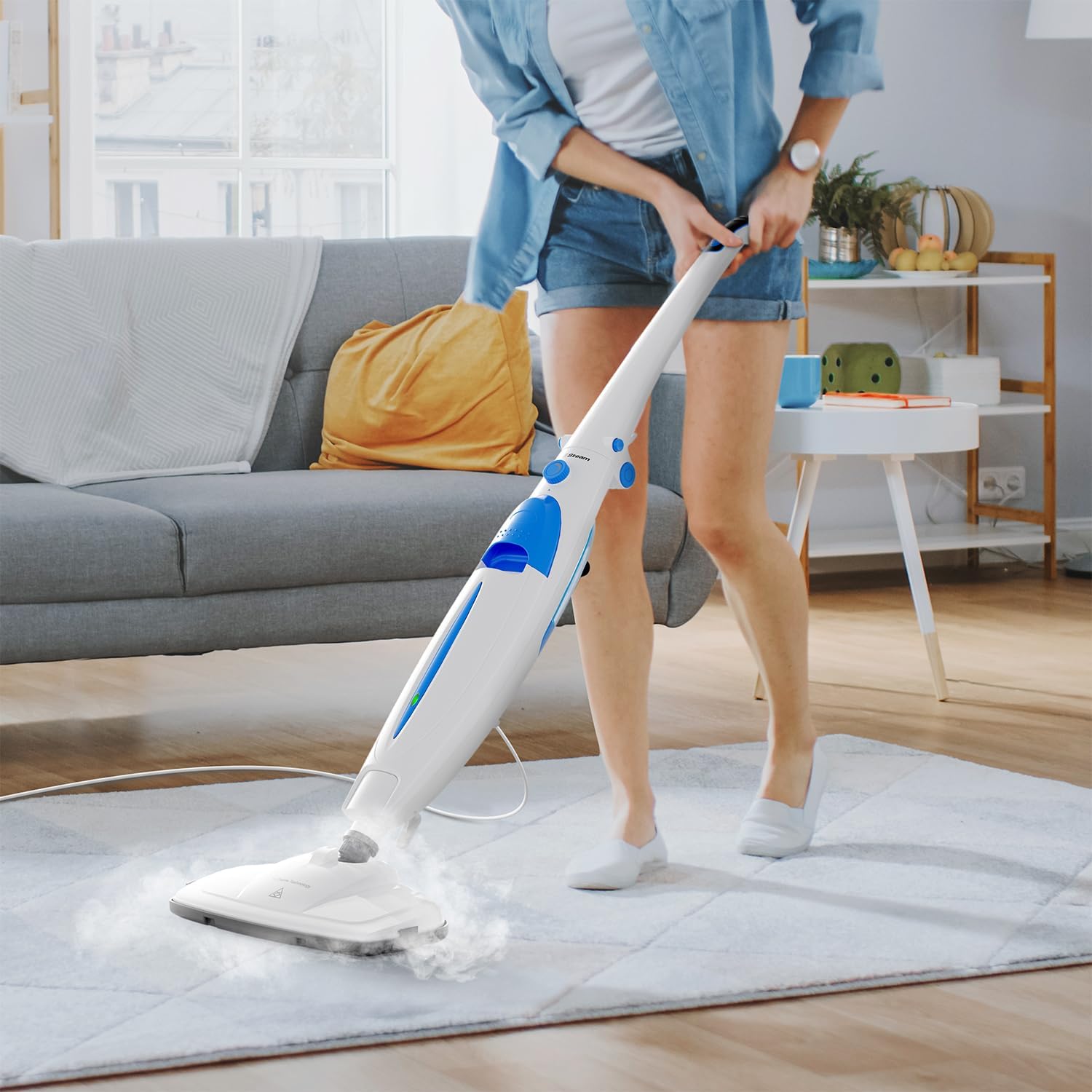 PurSteam Steam Mop Cleaner Entry